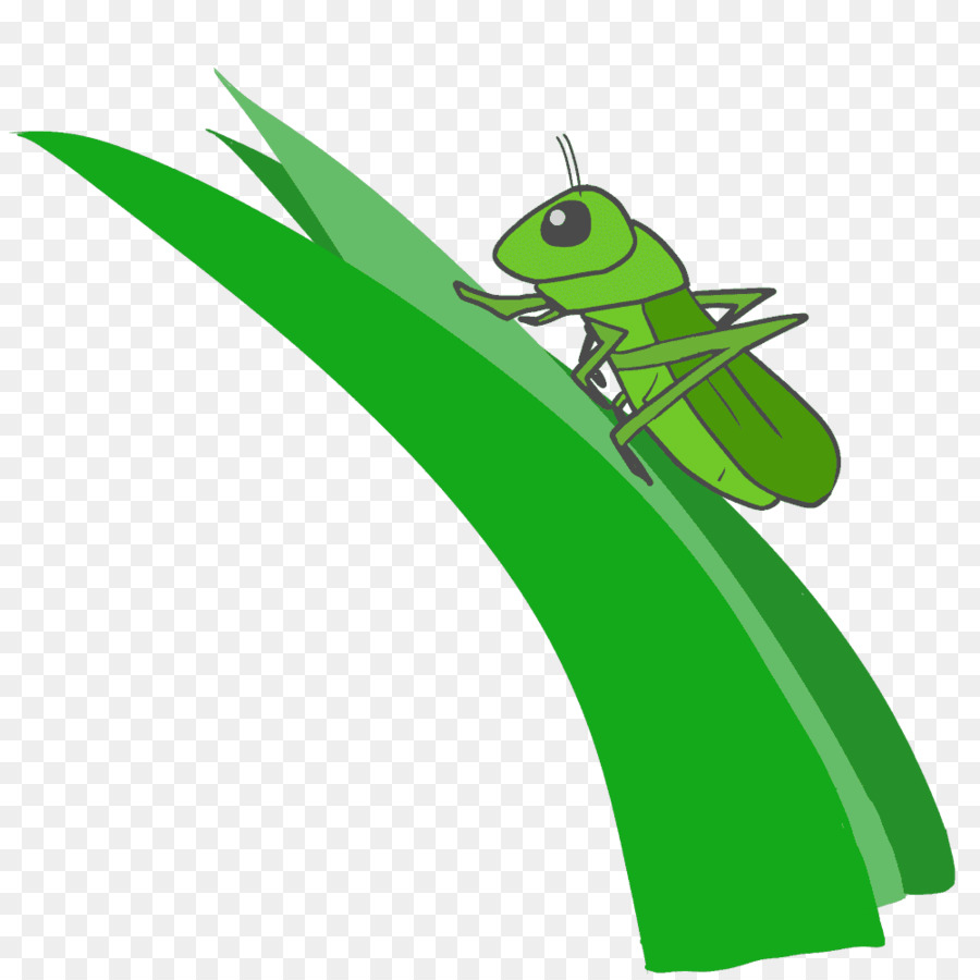 Les Insectes，Caelifera PNG