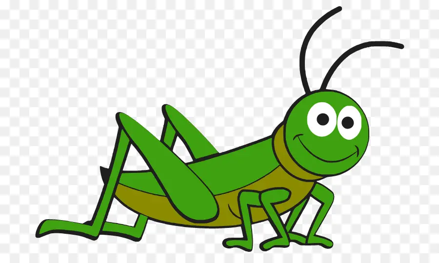 Sauterelle，Insecte PNG