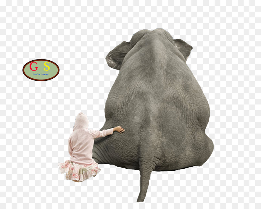 Éléphant Et Enfant，Mur PNG