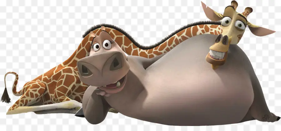 Girafe Et Hippopotame，Dessin Animé PNG