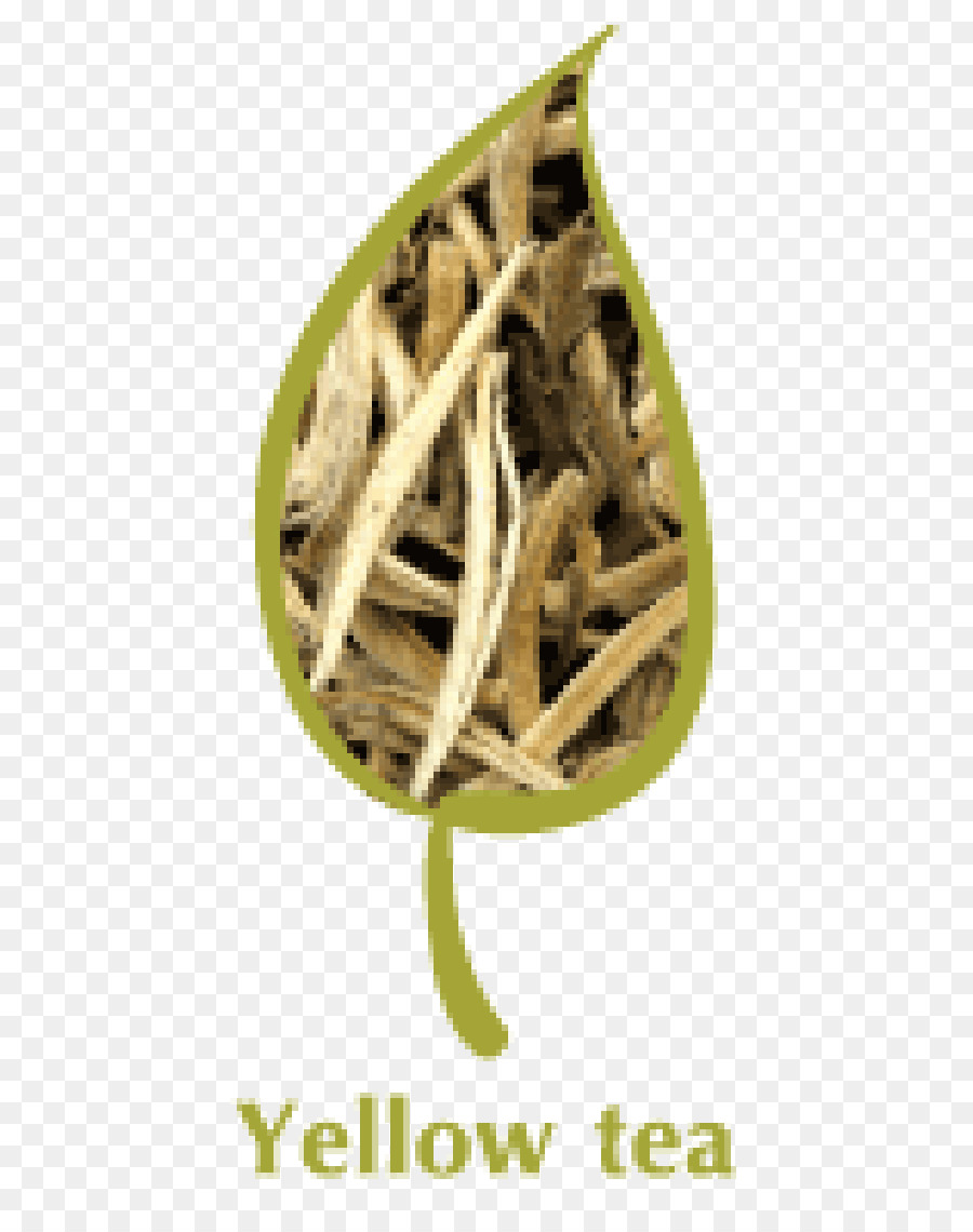 Thé Jaune，Feuille PNG