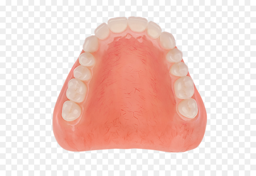 Les Prothèses Dentaires，Dent PNG