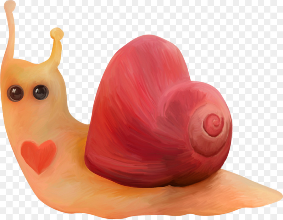 Escargot Avec Des Fleurs，Coquille PNG