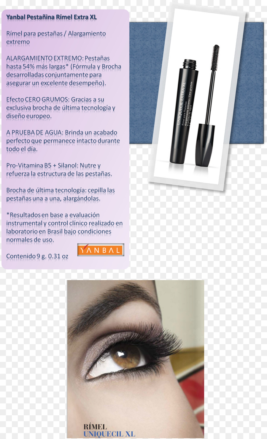 Extensions De Cils，L Ombre à Paupières PNG