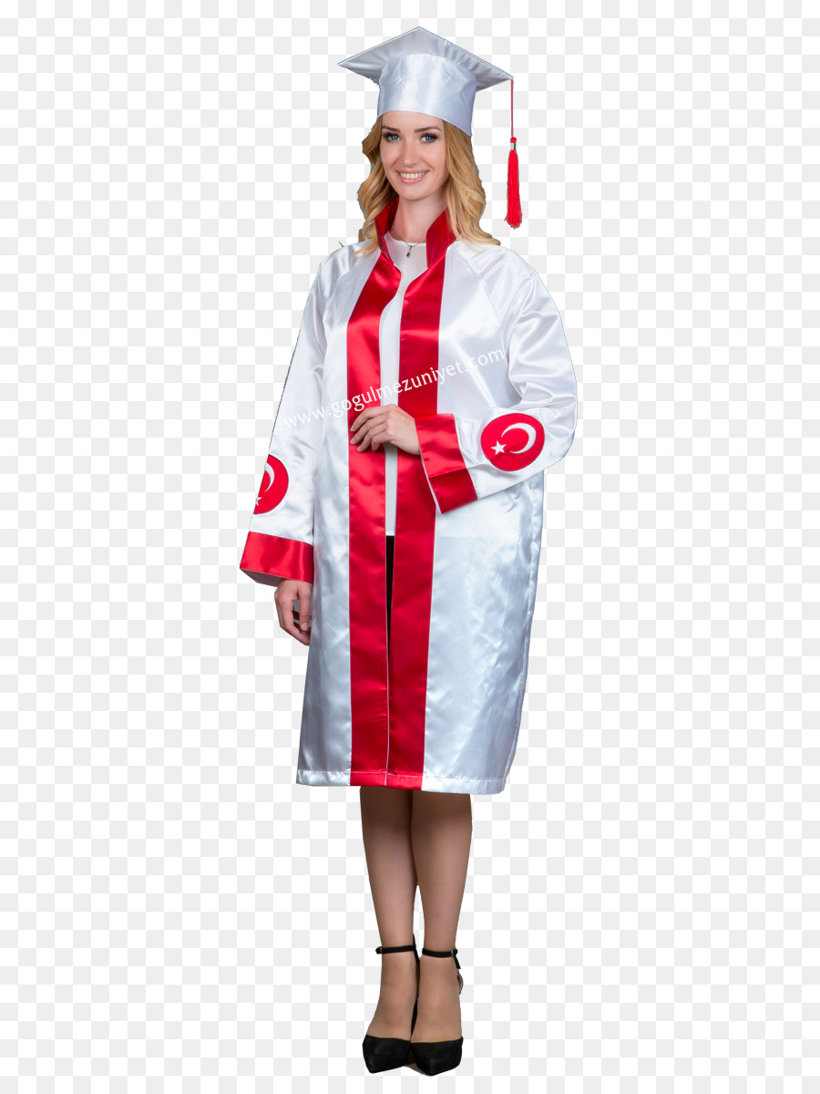 Robe，L Académicien PNG