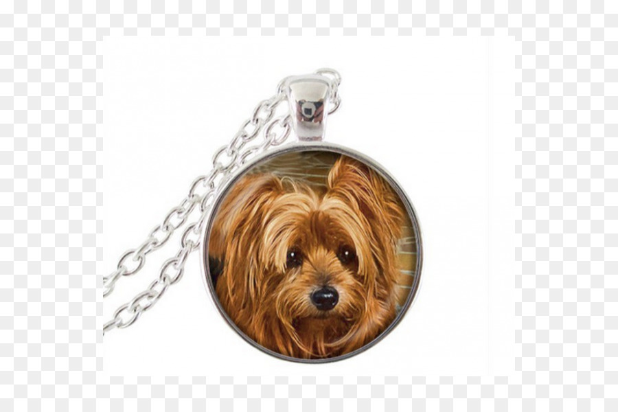 Pit Bull，Charms Pendentifs PNG