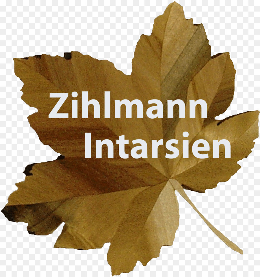 Feuille，Zihlmann PNG