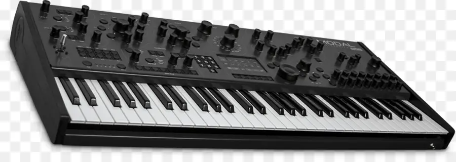 Synthétiseur Prophet 6，Clavier PNG