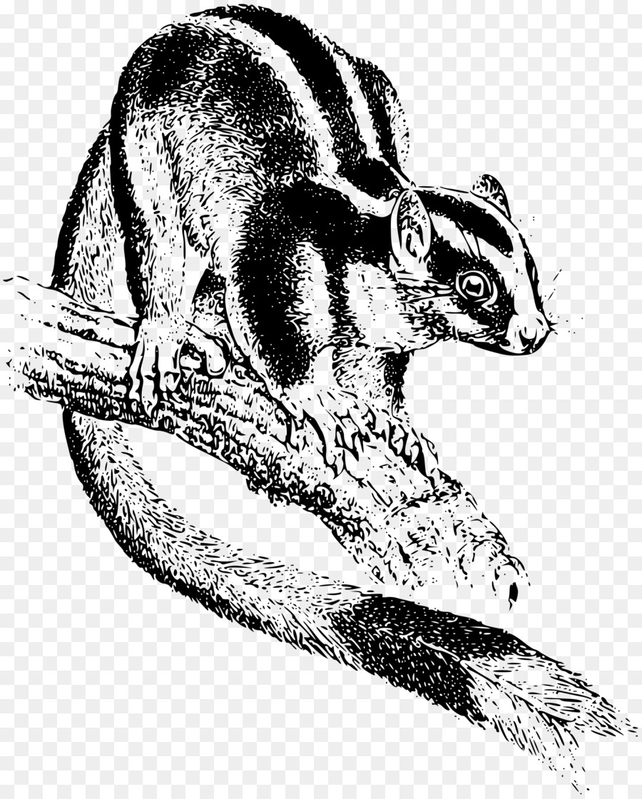 Tamia，Marsupial PNG
