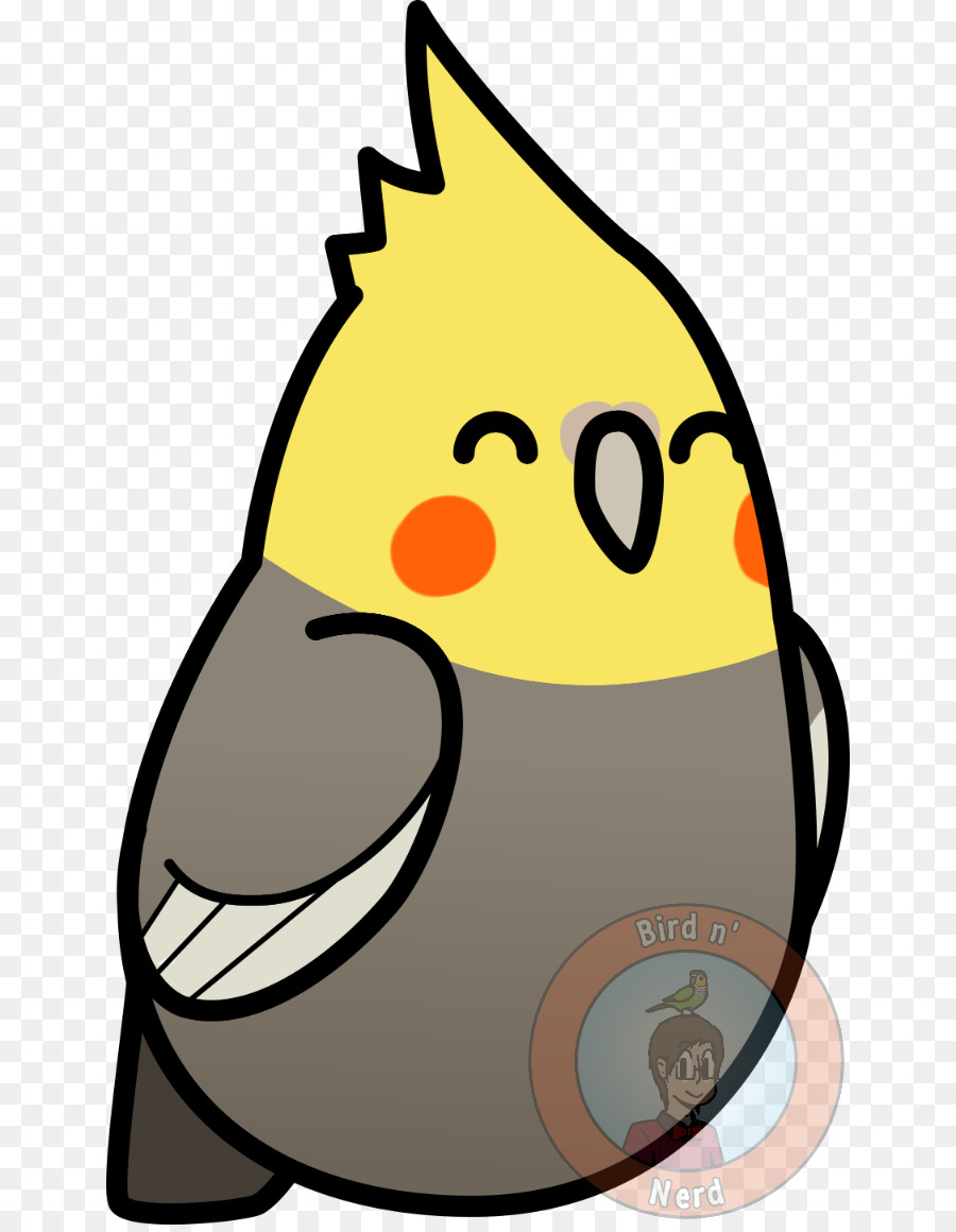 Perroquet，Cockatiel PNG