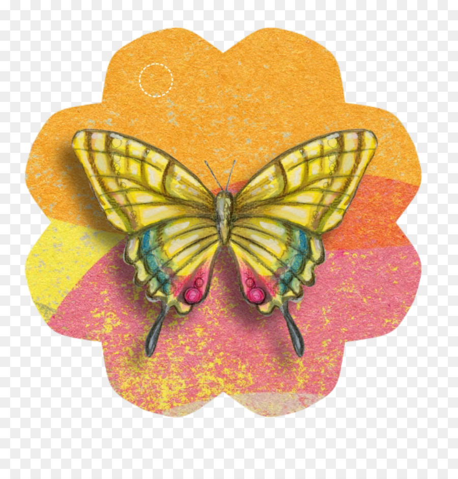 Papier，Papillon PNG