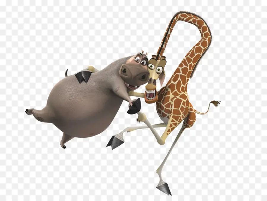 Hippopotame Et Girafe Animés，Hippopotame PNG