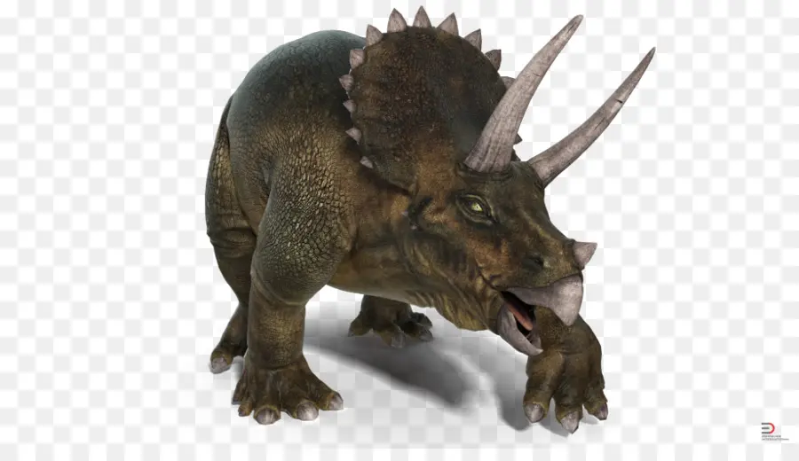 Tricératops，Préhistorique PNG