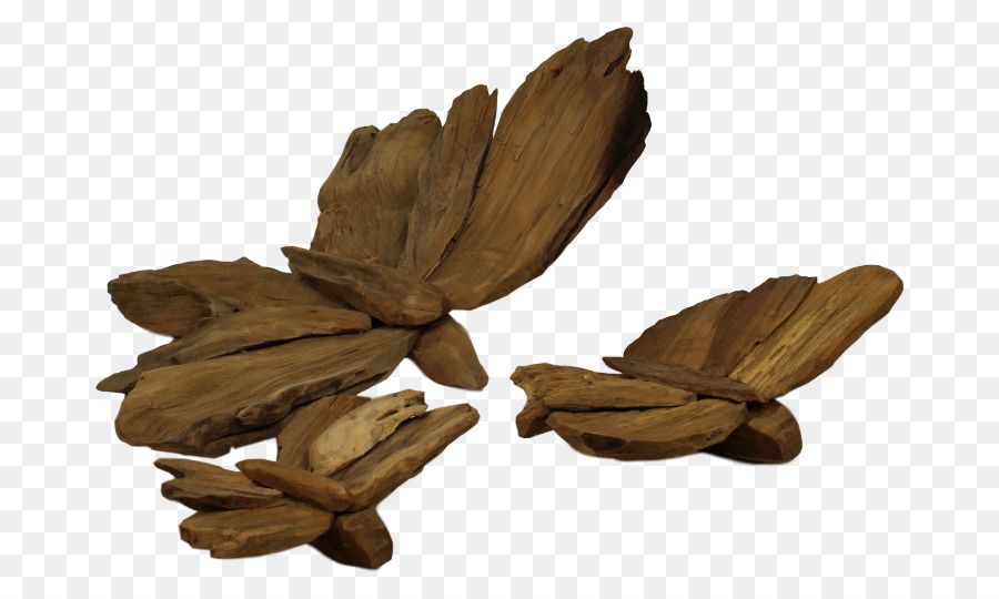 Papillon，Bois PNG