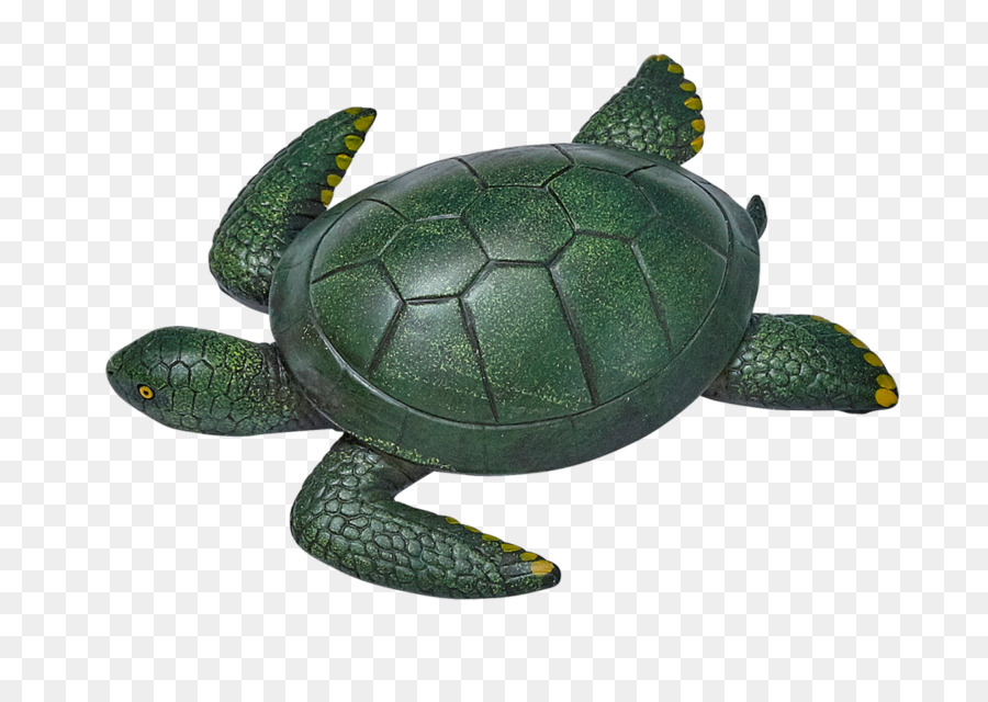 Tortue，Reptile PNG