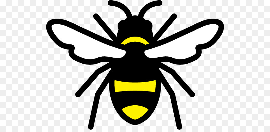 Abeille，Ailes PNG