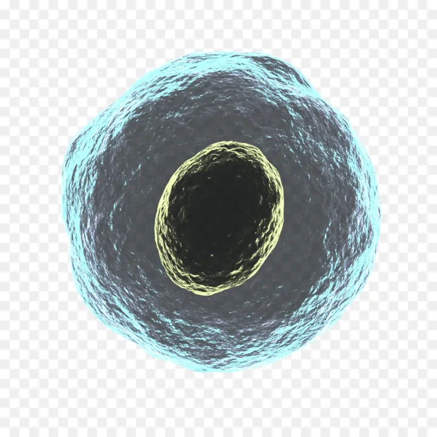 Cellule，Microscopique PNG