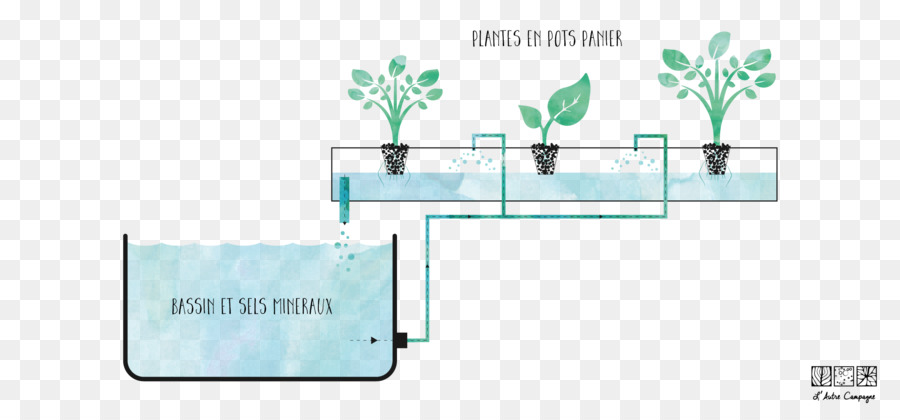 La Culture Hydroponique，L Aquaponie PNG