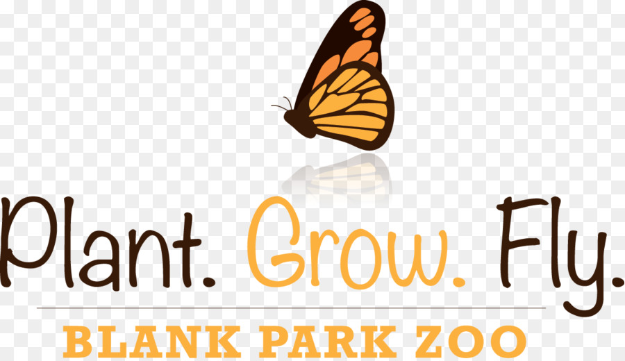 Zoo De Parc Blanc，Papillon Monarque PNG