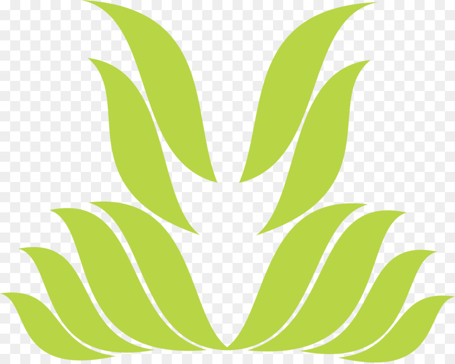 Feuille，Symbole PNG