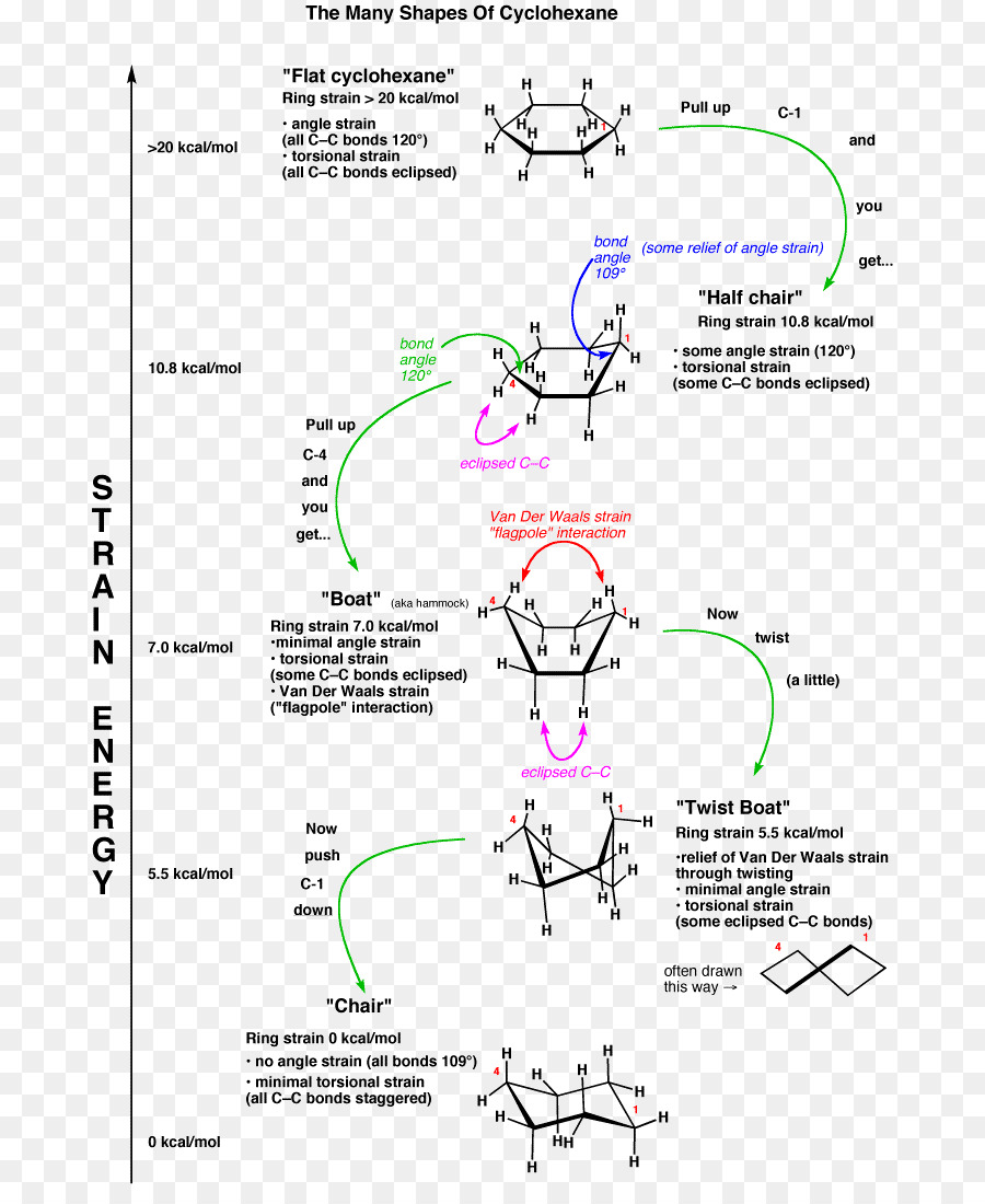 Cyclohexane，Conformation Du Cyclohexane PNG