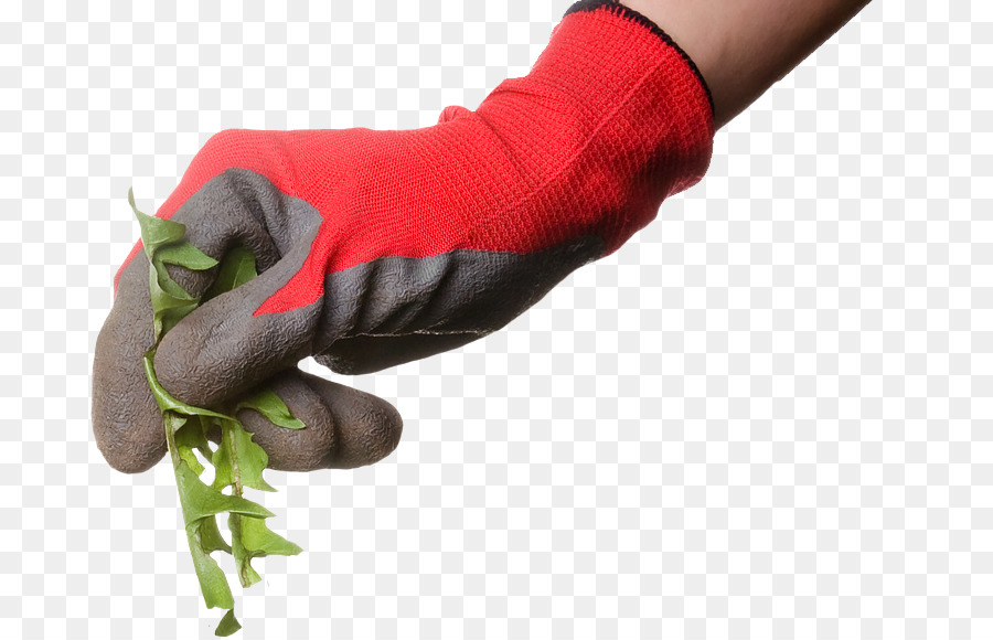 Les Mauvaises Herbes，Le Contrôle Des Mauvaises Herbes PNG