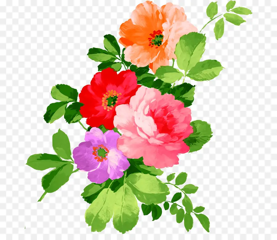 Conception Florale，Fleurs PNG