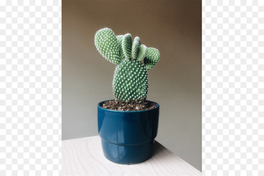 Citroën Cactus M，Flowerpot PNG