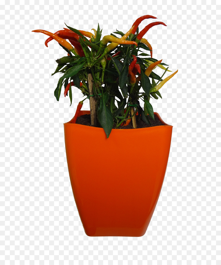 Flowerpot，Vase PNG