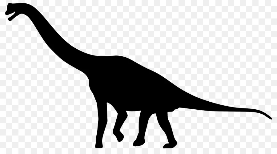 Silhouette De Dinosaure，Préhistorique PNG