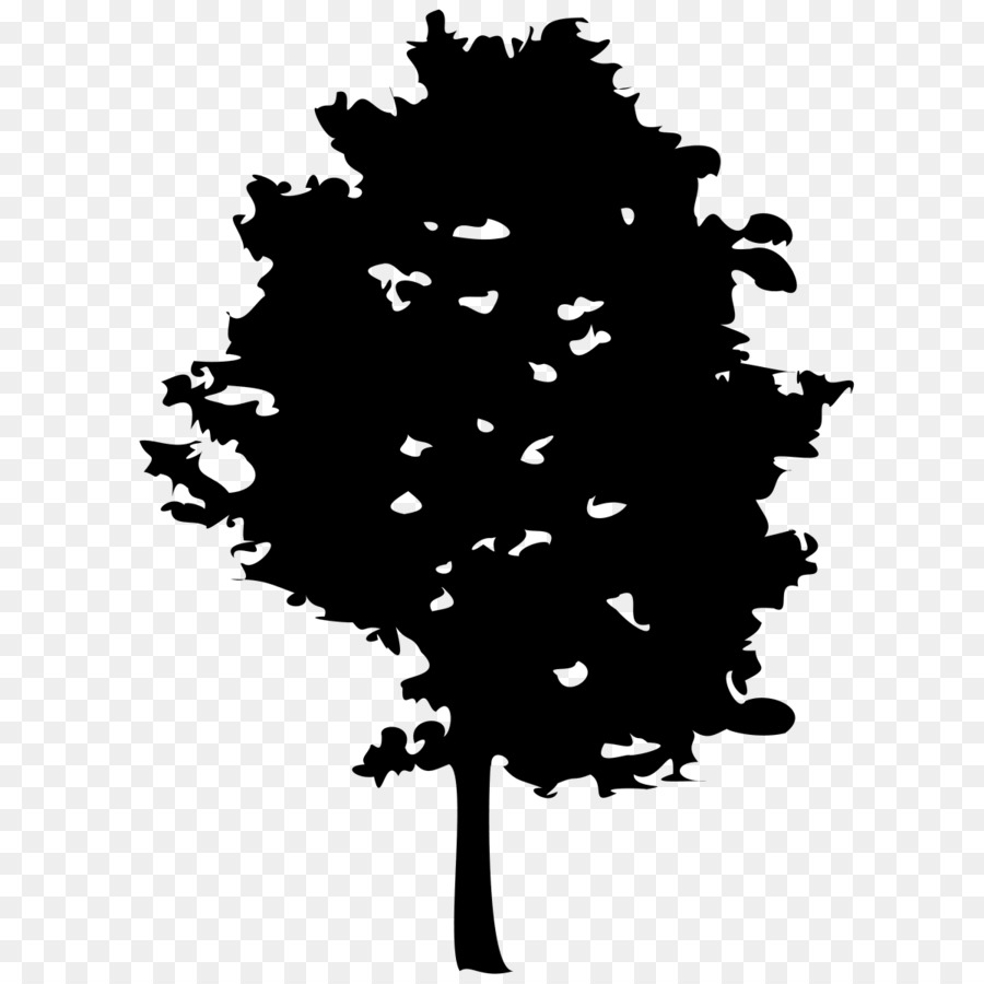 Arbre，Feuilles PNG