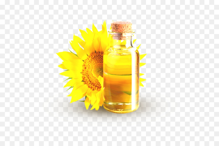 Huile De Tournesol，Tournesol PNG