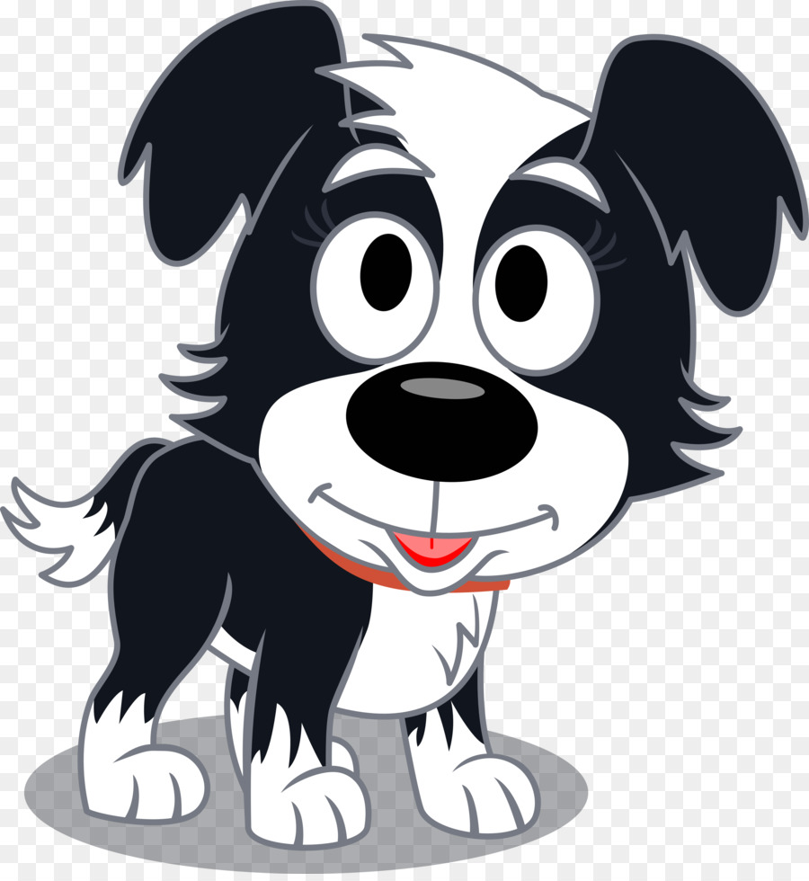 Chiot，Border Collie PNG