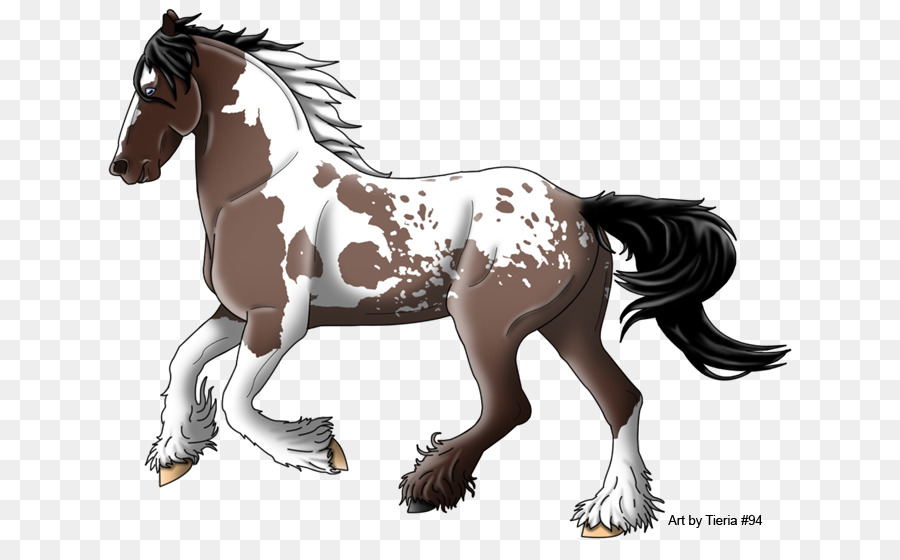 Cheval，équidé PNG