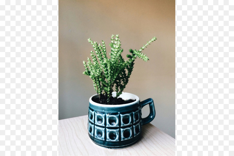 Flowerpot，Céramique PNG