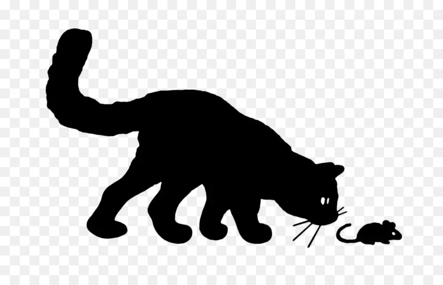 Chat Et Souris，Silhouette PNG