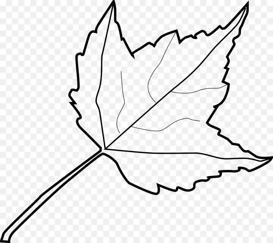 Feuille，Arbre PNG