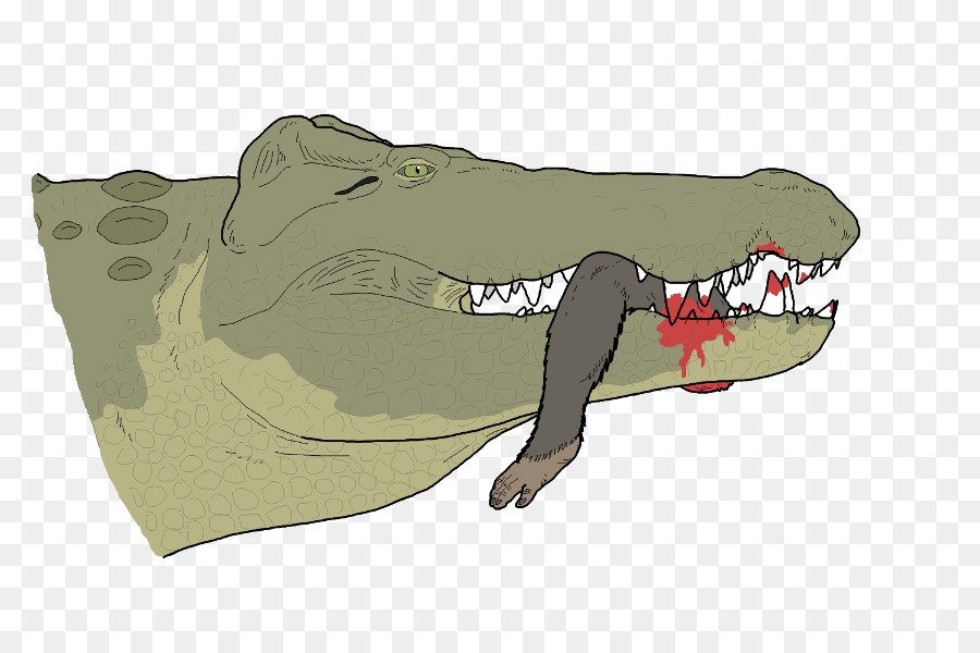 Les Crocodiles，Crocodylus Anthropophagus PNG