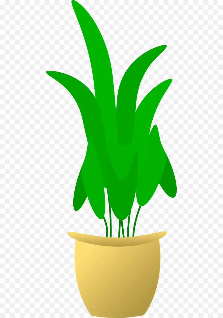 Flowerpot，Plante PNG