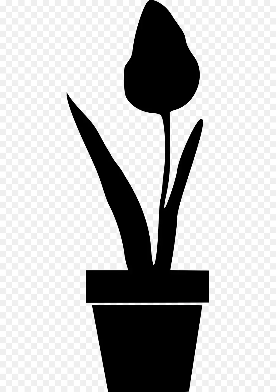 Plante En Pot，Fleur PNG