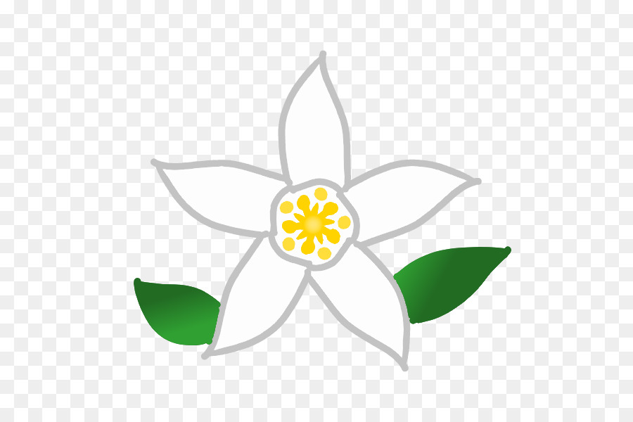 Pétale，Couper Les Fleurs PNG