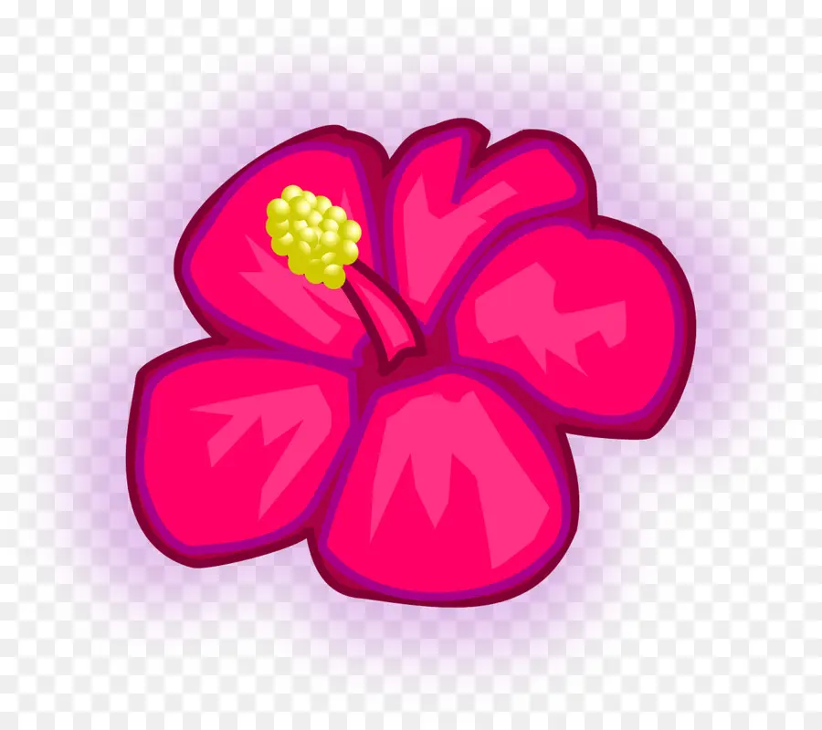 Fleur，Hibiscus PNG