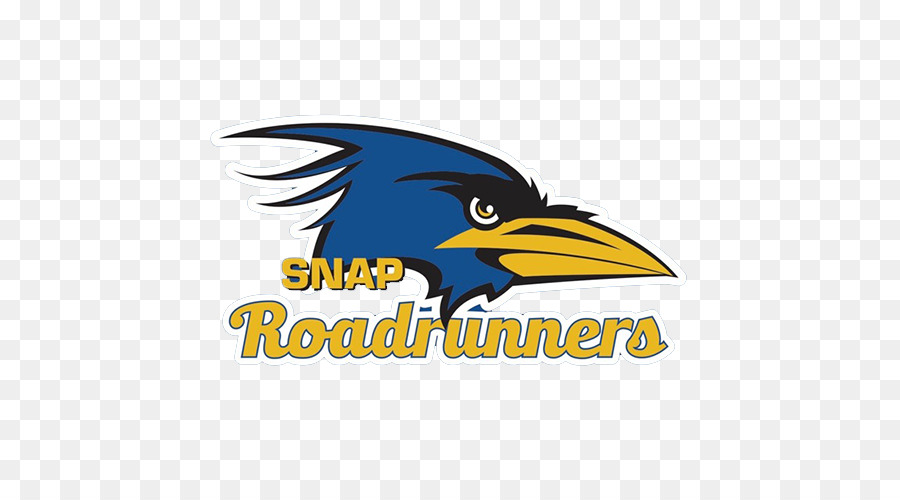 Mascotte Des Roadrunners，Roadrunners PNG