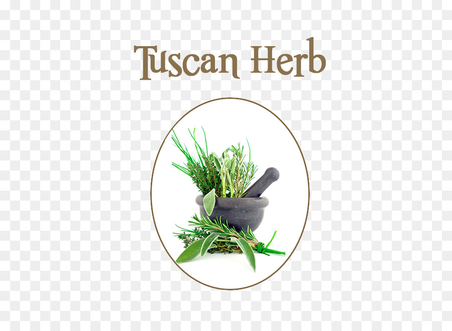 Herbe，Salsa PNG