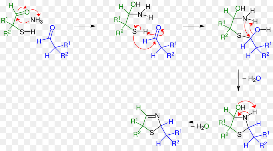 Asinger Réaction，Thiazoline PNG