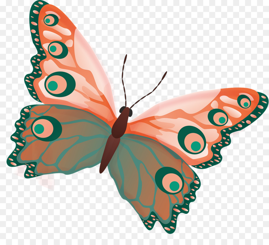 Papillon，Insecte PNG