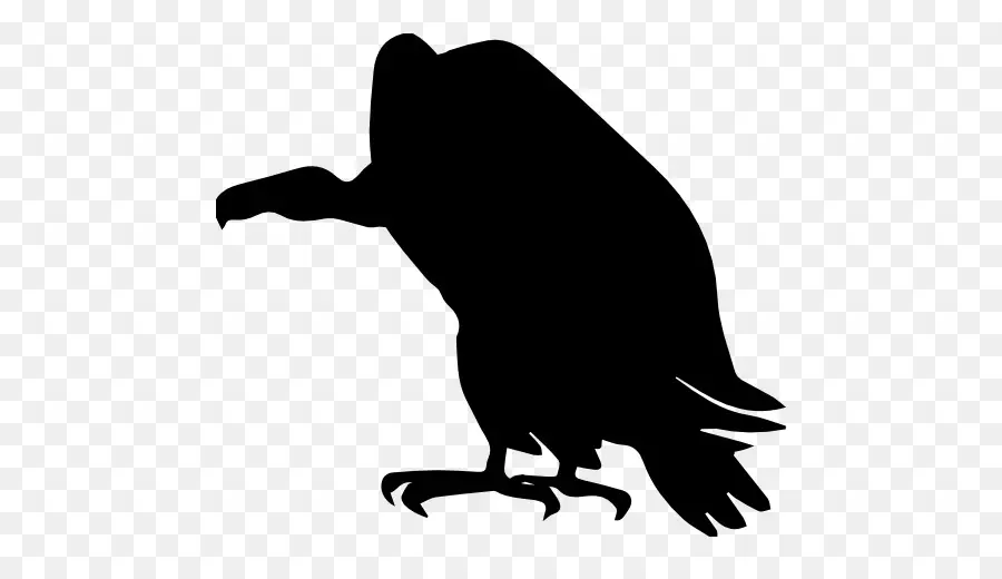 Silhouette De Vautour，Oiseau PNG