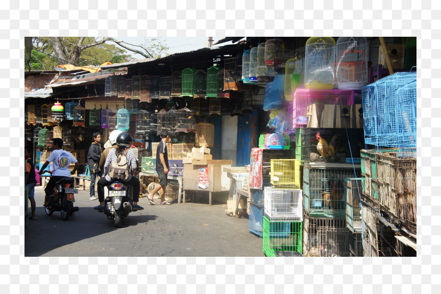 L Alimentation De Rue，Bazar PNG