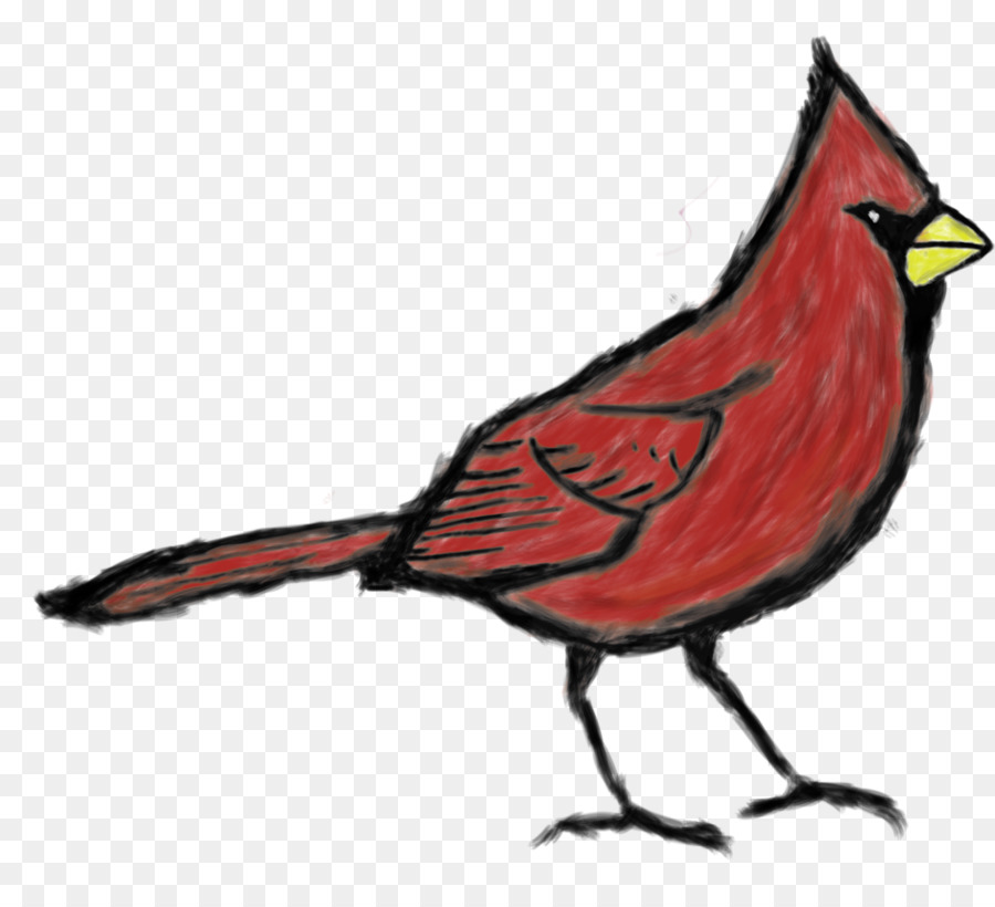 Cardinal，Rouge PNG