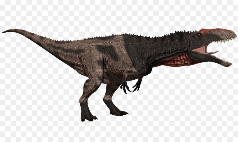 Le Tyrannosaure，Acrocanthosaurus PNG